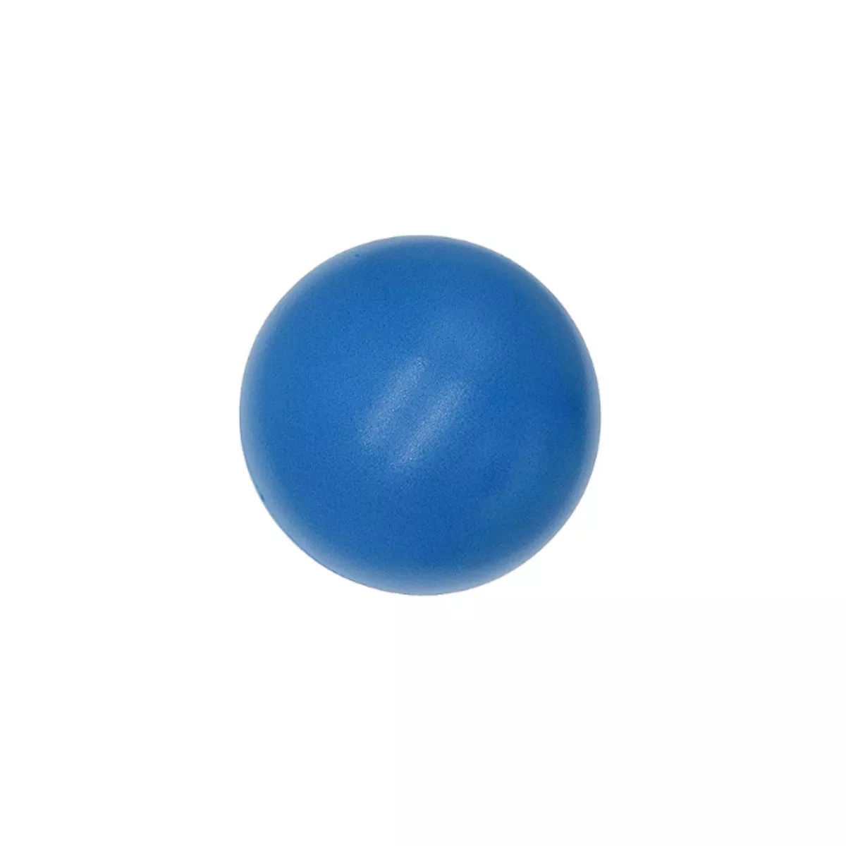 Blue Mini Exercise Yoga Ball